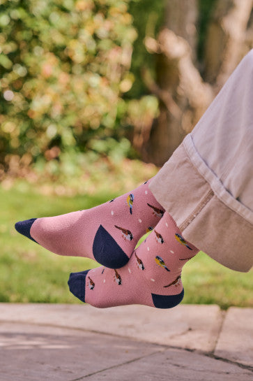 HJS Garden Bird Comfort Top (Size  4-7)