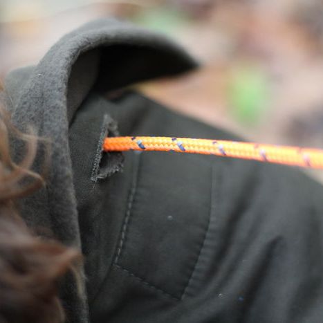 Sporting Saint Winslow Dog Coat