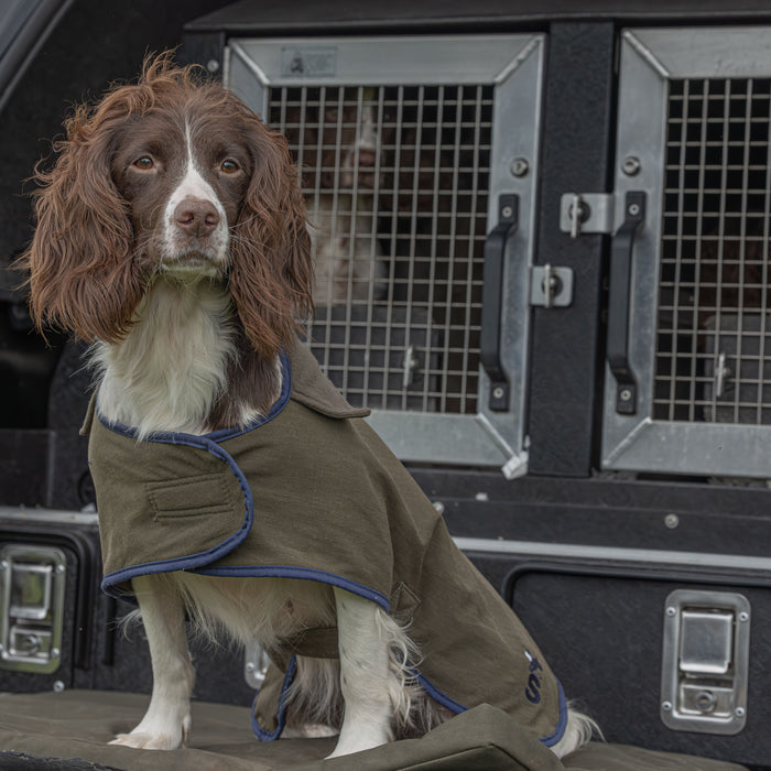 Sporting Saint Winslow Dog Coat