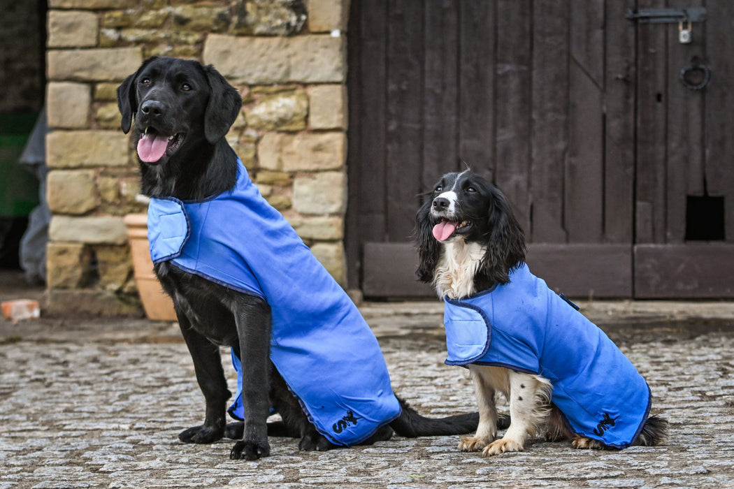 Sporting Saint Cooling Dog Coat