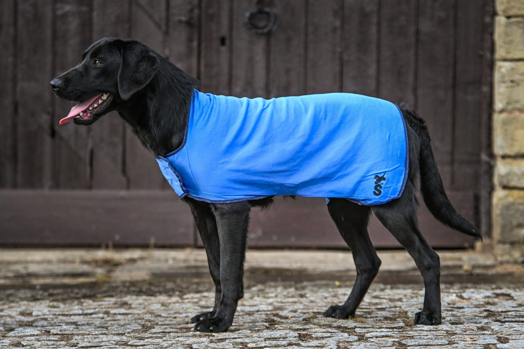 Sporting Saint Cooling Dog Coat