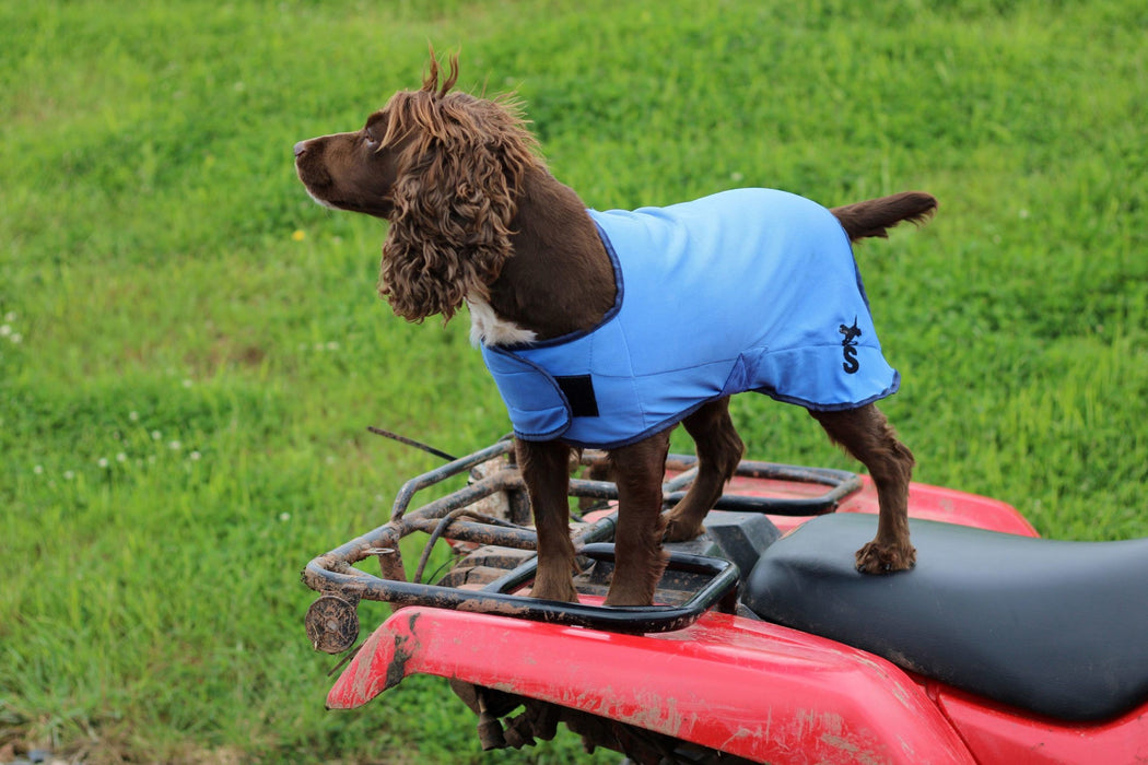 Sporting Saint Cooling Dog Coat