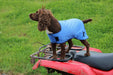 Sporting Saint Cooling Dog Coat