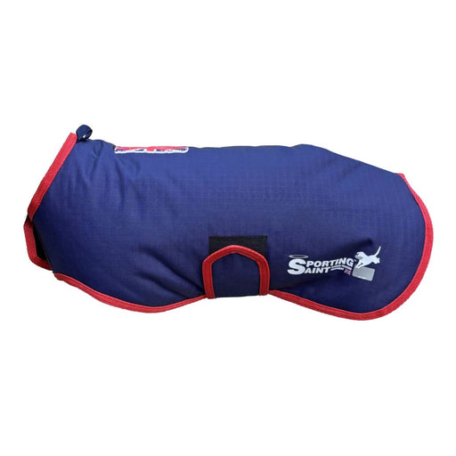 Sporting Saint Field Trial Dog Coat