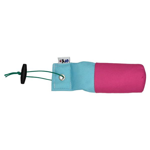 Sporting Saint 1/2lb Pink & Baby Blue Canvas Dummy
