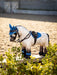 LeMieux Toy Pony Dream