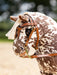 LeMieux TOY Pony Tan Western Bridle