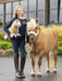 LeMieux Toy Pony Cloudy