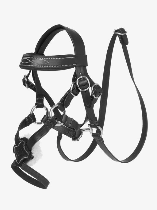 LeMieux Toy Pony Black Grackle Bridle