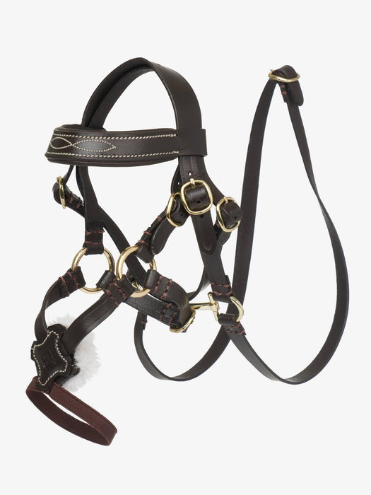 LeMieux Toy Pony Brown Grackle Bridle