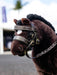LeMieux Toy Pony Brown Hunter Bridle