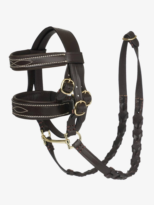 LeMieux Toy Pony Brown Hunter Bridle