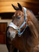 LeMieux Vogue Headcollar & Leadrope Ice Blue
