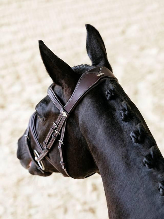 LeMieux Kudos Contour Flash Bridle Brown
