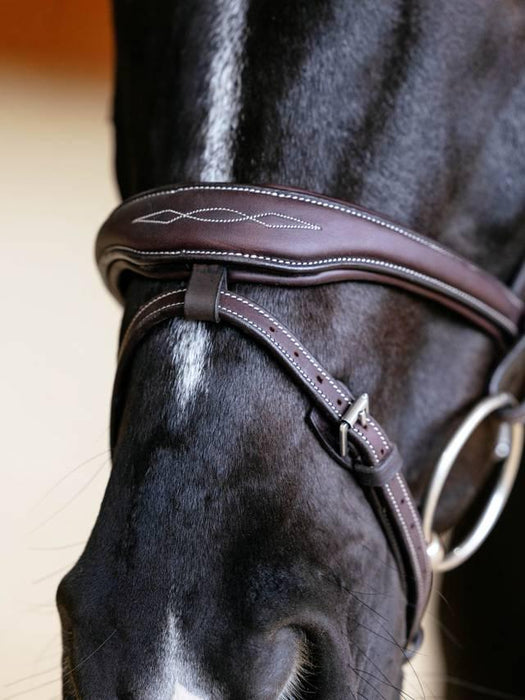 LeMieux Kudos Contour Flash Bridle Brown
