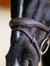 LeMieux Kudos Contour Flash Bridle Brown
