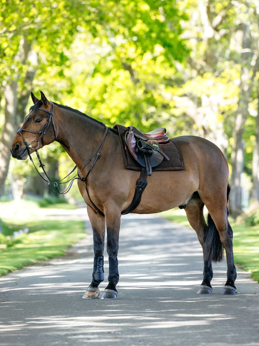 LeMieux Pillow Pad Brown

