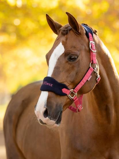LeMieux Vogue Pony Headcollar & Rope Cranberry
