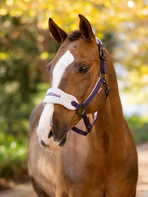 LeMieux Vogue Headcollar & LeadRope Juniper
