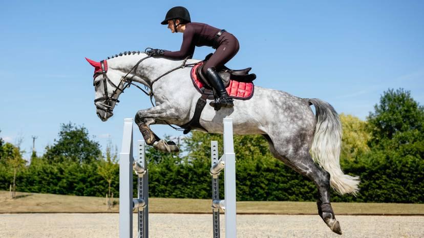 LeMieux Loire Close Contact Square Cranberry
