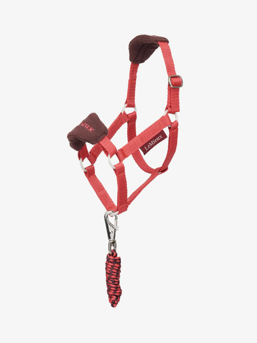 LeMieux Hobby Horse Cranberry Vogue Headcollar