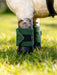 LeMieux Toy Pony Bandages Hunter Green
