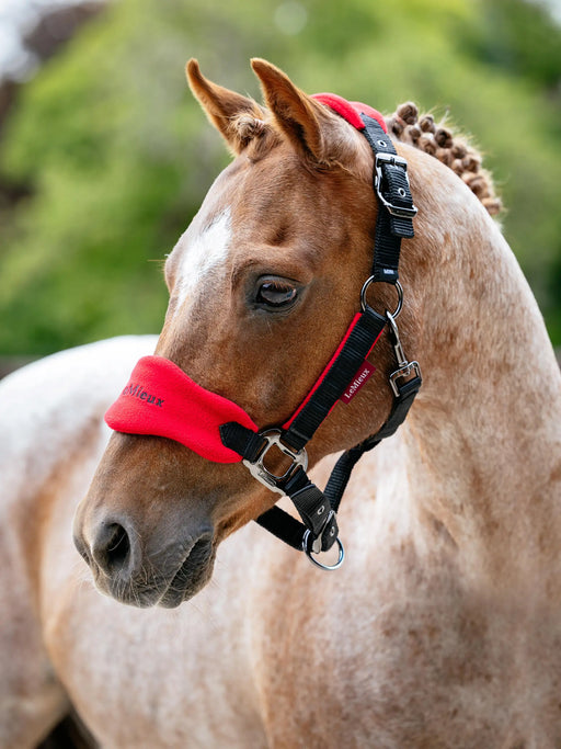 LeMieux Vogue Chilli Mini Headcollar & Leadrope