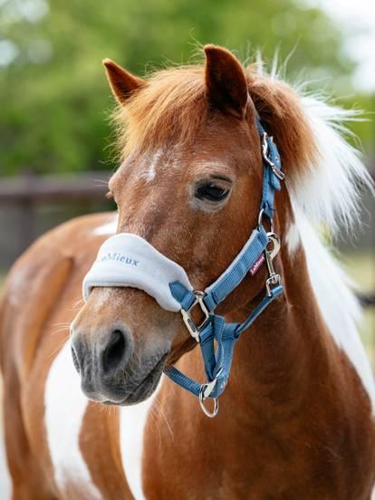 LeMieux Mini Vogue Headcollar & Leadrope Ice Blue
