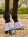 LeMieux Rubber Bell Boots Lilac