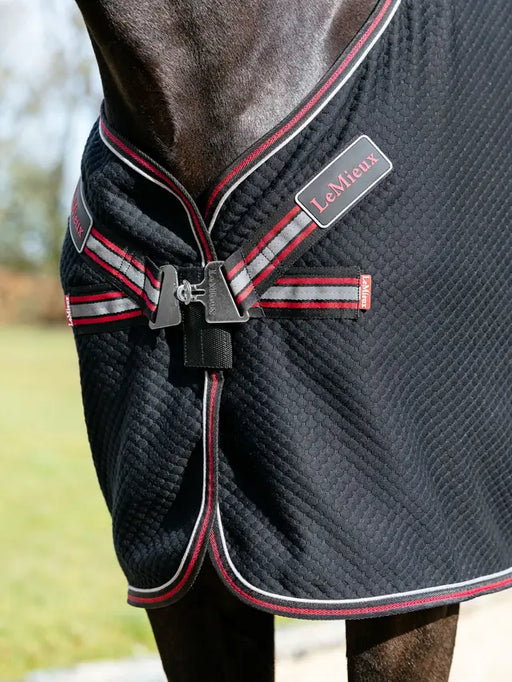 LeMieux Kudos Bamboo Cooler Black