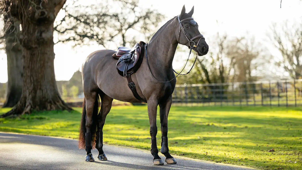LeMieux Merino+ Hunter Saddle Pad Brown