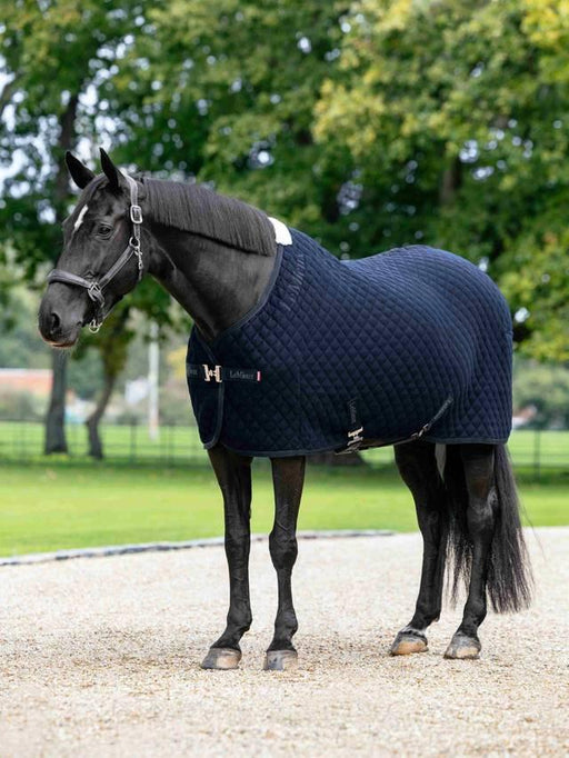 LeMieux Arika Clima-Tek Rug