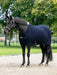 LeMieux Arika Clima-Tek Rug