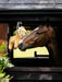 LeMieux Plush Horse Toy Lion