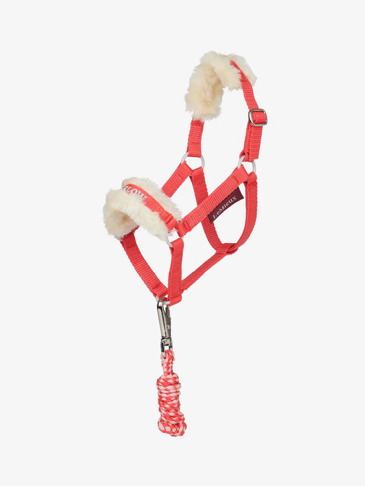 LeMieux Harlow Hobby Horse Headcollar & Leadrope Coral Crrush