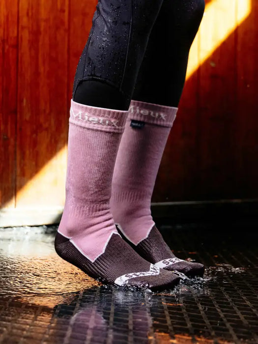 LeMieux x Sealskinz Waterproof Socks Dusty Pink