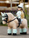 LeMieux Harlow Toy Rider Outfit Softmint
