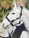 LeMieux Capella Headcollar Black
