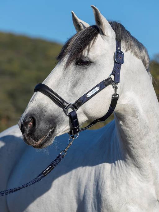 LeMieux Capella Headcollar Navy