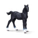 Toy MOJO Hanoverian Foal