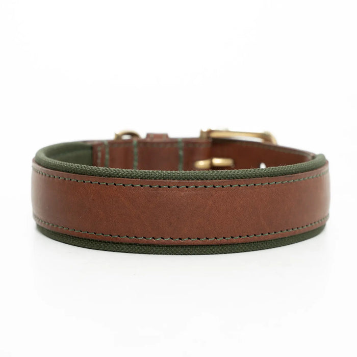 Morston Padded Leather Collar Olive