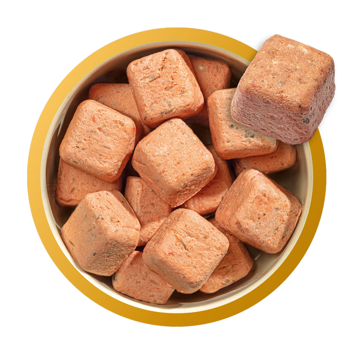 Natures Menu Complete & Balanced Puppy 80/20 80% Chicken With Salmon 1kg