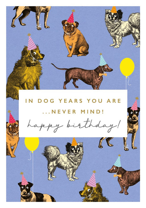 The Art File In Dog Years You're Card

