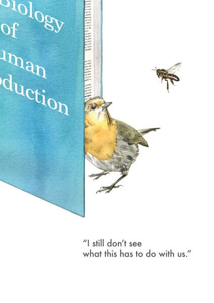 The Art File Birds & Bees Card