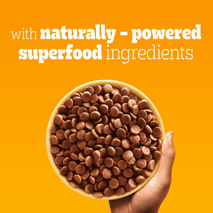 Pedigree Adult Small Dog Food Poultry 3kg