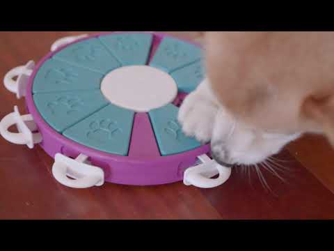 Outward Hound Interactive Puzzle Twister