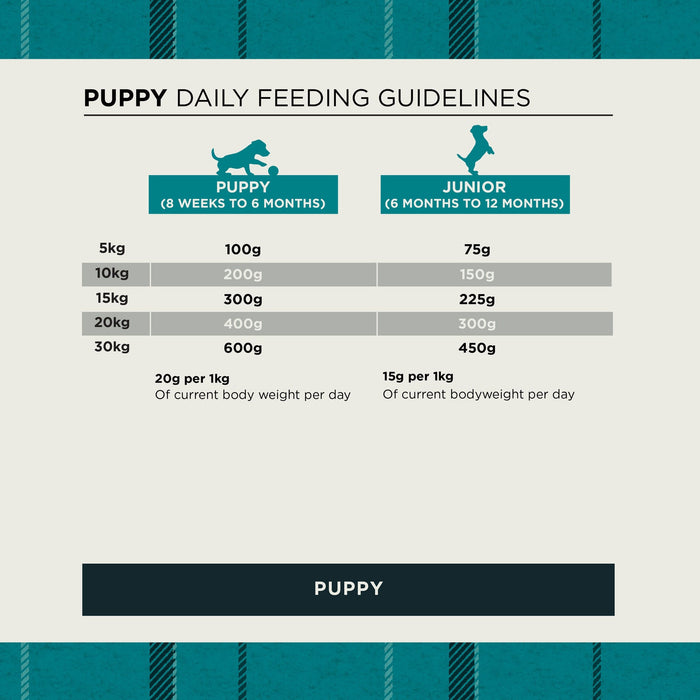 Burns Puppy Original Lamb & Rice Dry Dog Food
