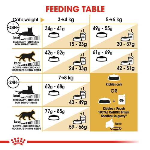 Royal Canin British Shorthair Adult Dry Cat Food