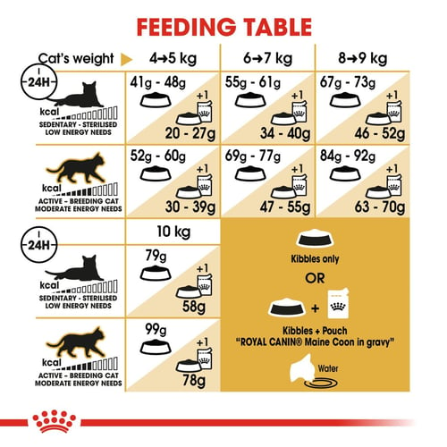 Royal Canin Adult Maine Coon Dry Cat Food
