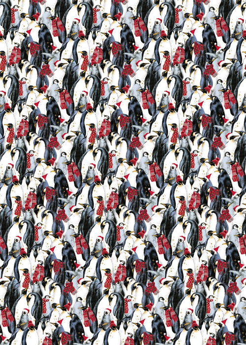 Wrapping Paper Polar Penguin 3m X 70cm
